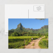 Toeristische fietsen op tropisch briefkaart (Voorkant / Achterkant)