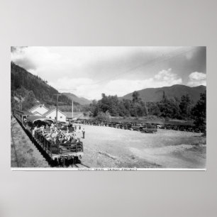 Toeristische trein van het Skagit-project Poster