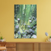 Toermalijn Elbaite kristallen op Quartz Canvas Afdruk (Insitu (Woonkamer))