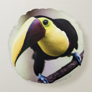 Toern van Costa Rica Rond Kussen