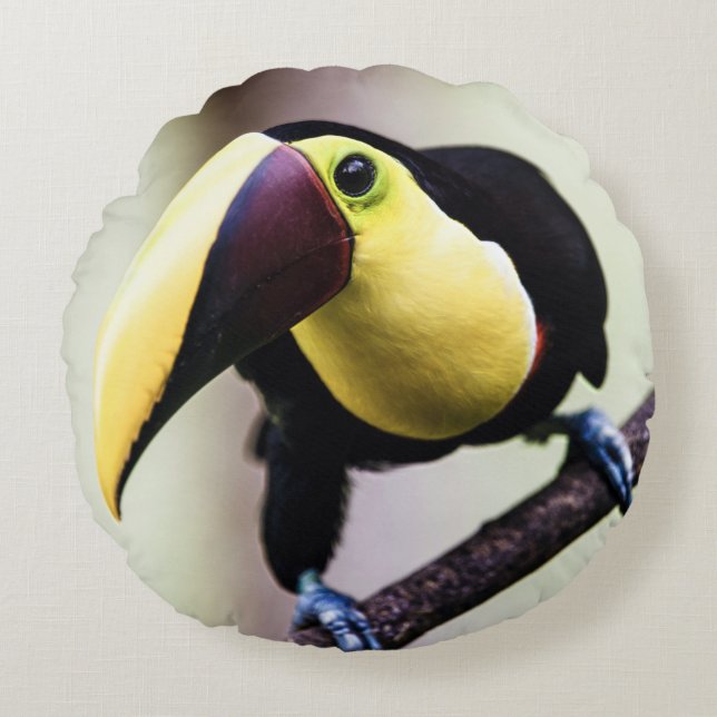 Toern van Costa Rica Rond Kussen (Voorkant)