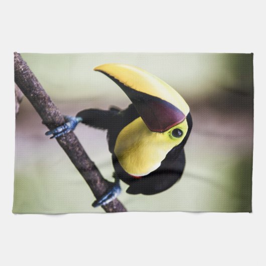 Toern van Costa Rica Theedoek (Horizontaal)