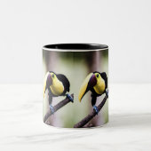 Toern van Costa Rica Tweekleurige Koffiemok (Center)