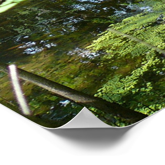 Toestand van verwarring poster (Hoek)