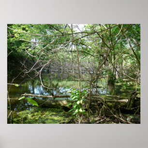 Toestand van verwarring poster