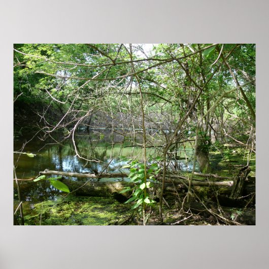 Toestand van verwarring poster (Voorkant)