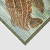 Toestapel voor het loskoppelen van steenpapier van tissuepapier (Detail)