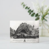 Toestel van de Maagd Mary Briefkaart (Staand voorkant)