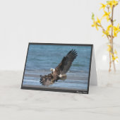 Toestemming te landen kaart (Gele Bloem)