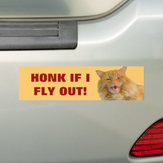 Toeter als er een kat uitvliegt bumpersticker (Op auto)