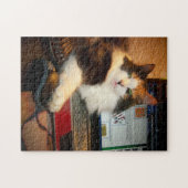 Toetsenbord Calico Kat Jigzaag Puzzle Legpuzzel (Horizontaal)