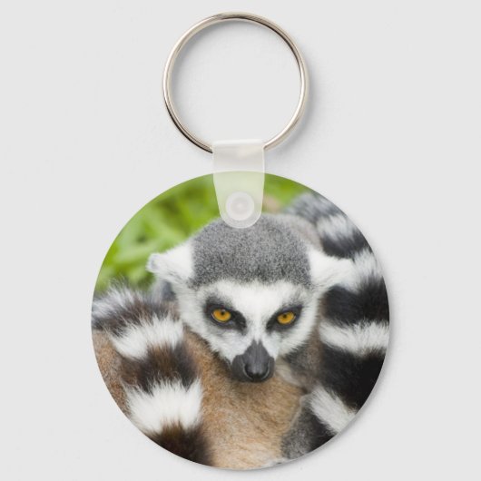 Toetsenbord - Kute Lemur Stripey Tail Sleutelhanger (Voorkant)