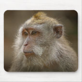 Toetsenmuisblok Muismat (Voorkant)