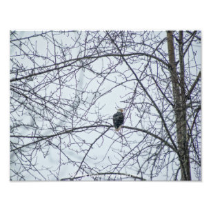 Toezicht Foto Afdruk