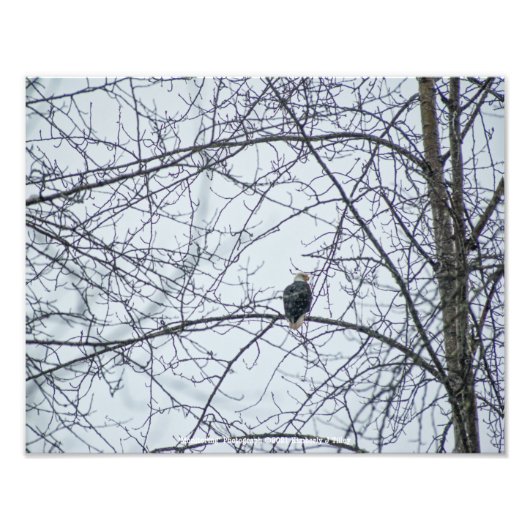 Toezicht Foto Afdruk (Voorkant)