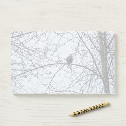 Toezicht Post-it® Notes (Op bureau)