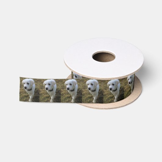 Toffee Satijnen Lint (Spoel)