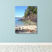 Tofino BC geïsoleerd strand Canvas Afdruk (Insitu (Houten vloer))