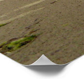 Tofino Beach Poster (Hoek)