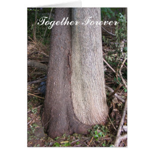 Together Forever ~-card