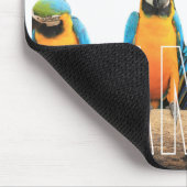 "Together We Shine"  Muismat (Hoek)