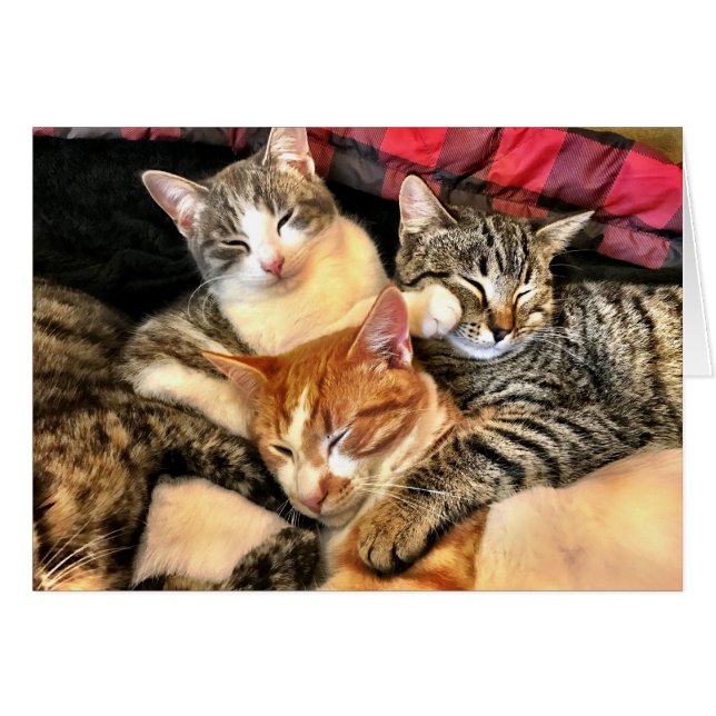 Togetherheid (Voorkant Horizontaal)