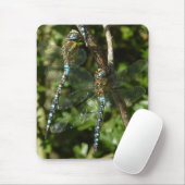 Togetherness! Muismat (Met muis)