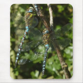 Togetherness! Muismat (Voorkant)