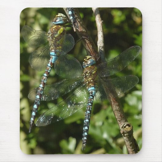 Togetherness! Muismat (Voorkant)