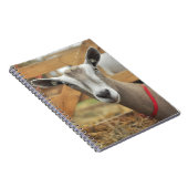 Toggenburg Dairy Goat Doe Notitieboek (Rechterzijde)