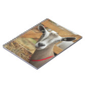 Toggenburg Dairy Goat Doe Notitieboek (Linkerzijde)
