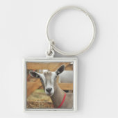 Toggenburg Dairy Goat Doe Sleutelhanger (Voorkant)