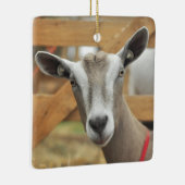Toggenburg Dairy Goat Keramisch Ornament (Rechts)