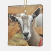 Toggenburg Dairy Goat Keramisch Ornament (Links)