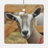 Toggenburg Dairy Goat Keramisch Ornament (Achterkant)