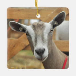 Toggenburg Dairy Goat Keramisch Ornament