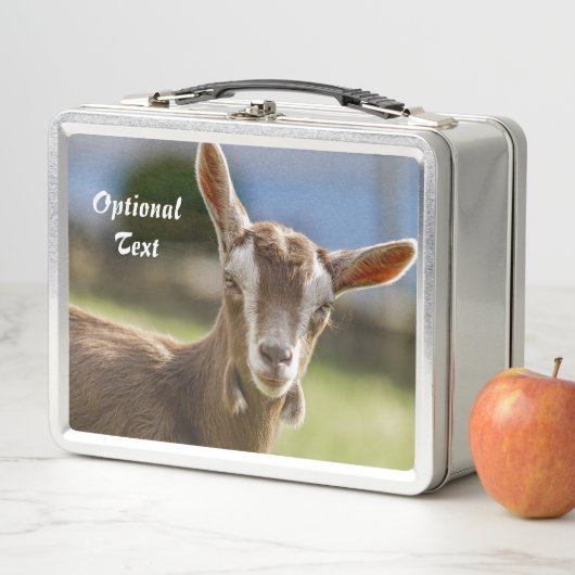 Toggenburg Dairy Goat Kind (In situ)