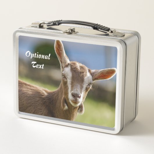 Toggenburg Dairy Goat Kind (Voorkant)