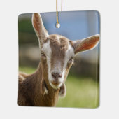 Toggenburg Dairy Goat Kind Keramisch Ornament (Links)