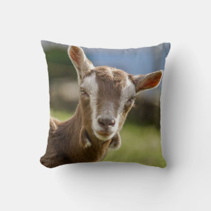 Toggenburg Dairy Goat Kind Kussen