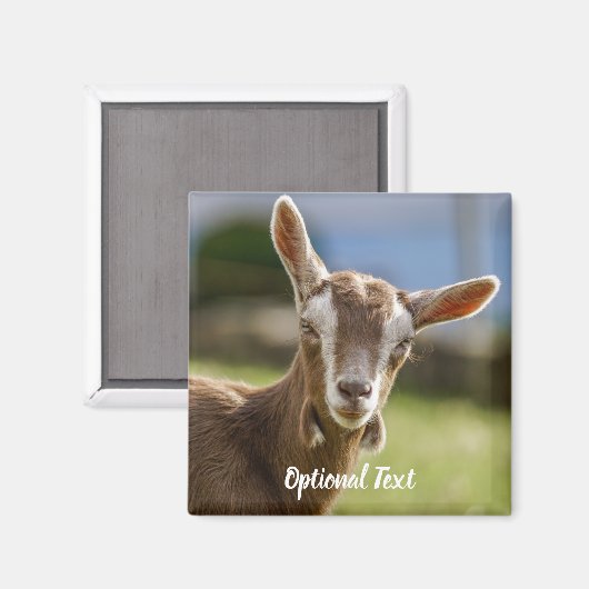 Toggenburg Dairy Goat Kind Magneet (Voorkant / Achterkant)