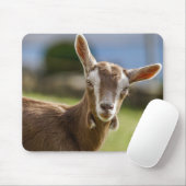 Toggenburg Dairy Goat Kind Muismat (Met muis)