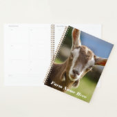 Toggenburg Dairy Goat Kind Planner (Display)
