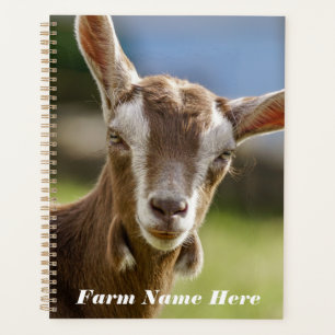 Toggenburg Dairy Goat Kind Planner