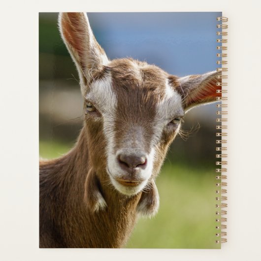 Toggenburg Dairy Goat Kind Planner (Achterkant)