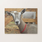 Toggenburg Dairy Goat Legpuzzel (Horizontaal)
