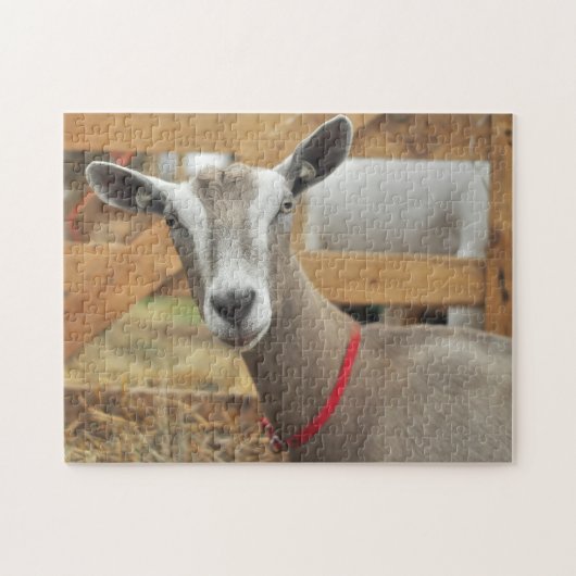 Toggenburg Dairy Goat Legpuzzel (Horizontaal)