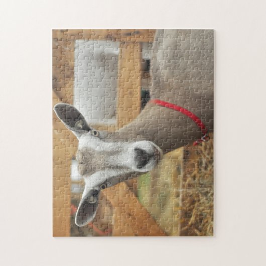 Toggenburg Dairy Goat Legpuzzel (Verticaal)