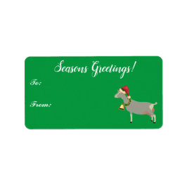 Toggenburg Dairy Goat met kerstcadeLabel Etiket