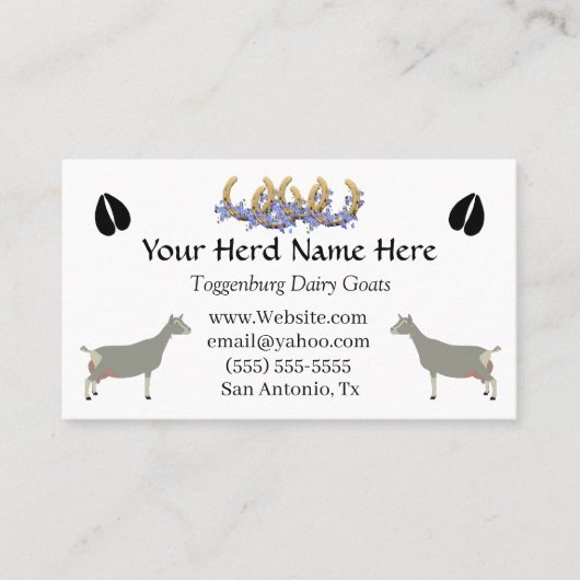 Toggenburg Dairy Goat Visitekaartje (Voorkant)